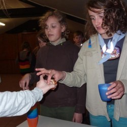 Koala 008 - Scouts en Gidsen Zaventem 